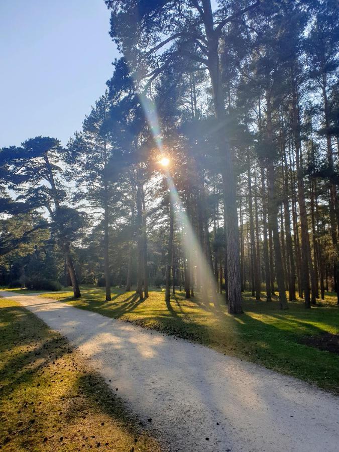 Palanga Apartments Near Baltic Sea Zewnętrze zdjęcie